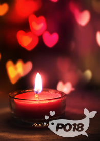 纪先生别来无恙小说